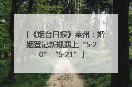 《烟台日报》莱州：婚姻登记新规遇上“5·20”“5·21”