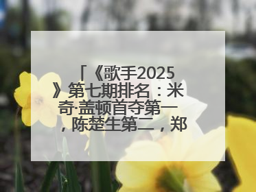 《歌手2025》第七期排名：米奇·盖顿首夺第一，陈楚生第二，郑欣宜将参加下一轮张榜赛