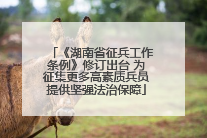 《湖南省征兵工作条例》修订出台 为征集更多高素质兵员提供坚强法治保障