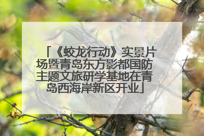 《蛟龙行动》实景片场暨青岛东方影都国防主题文旅研学基地在青岛西海岸新区开业