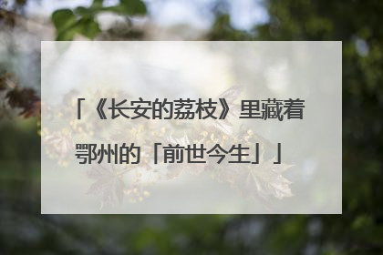 《长安的荔枝》里藏着鄂州的「前世今生」