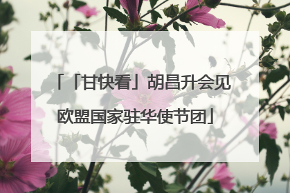 「甘快看」胡昌升会见欧盟国家驻华使节团