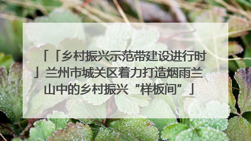 「乡村振兴示范带建设进行时」兰州市城关区着力打造烟雨兰山中的乡村振兴“样板间”