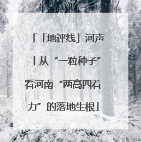 「地评线」河声丨从“一粒种子”看河南“两高四着力”的落地生根