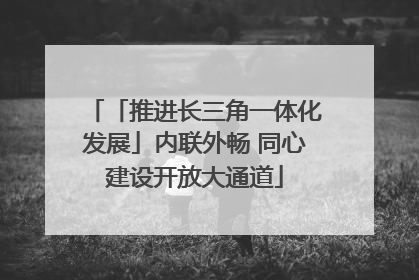 「推进长三角一体化发展」内联外畅 同心建设开放大通道