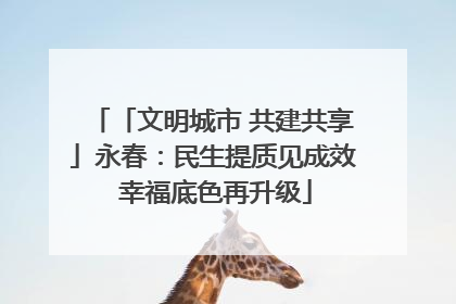 「文明城市 共建共享」永春：民生提质见成效 幸福底色再升级