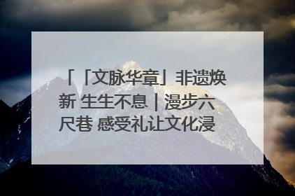 「文脉华章」非遗焕新 生生不息｜漫步六尺巷 感受礼让文化浸润的“巷”往生活