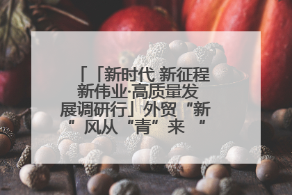 「新时代 新征程 新伟业·高质量发展调研行」外贸“新”风从“青”来 “双向奔赴”启新程