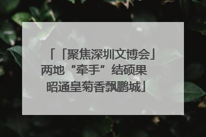 「聚焦深圳文博会」两地“牵手”结硕果 昭通皇菊香飘鹏城