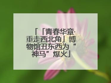 「青春华章·重走西北角」博物馆丑东西为“神马”爆火