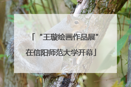 “王璇绘画作品展”在信阳师范大学开幕