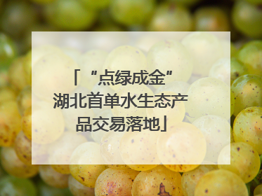 “点绿成金” 湖北首单水生态产品交易落地
