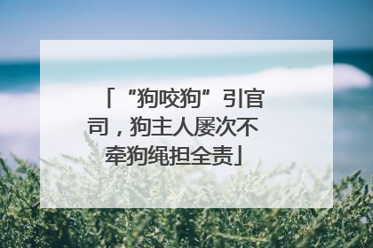 “狗咬狗”引官司，狗主人屡次不牵狗绳担全责