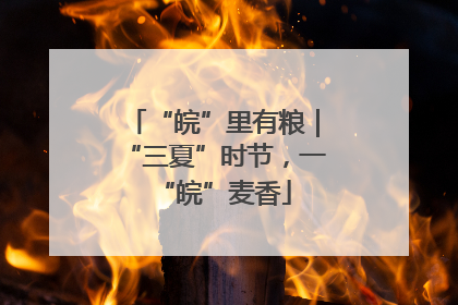 “皖”里有粮｜“三夏”时节，一“皖”麦香