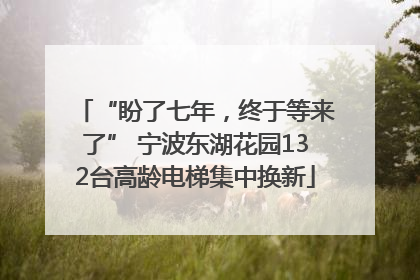 “盼了七年，终于等来了” 宁波东湖花园132台高龄电梯集中换新