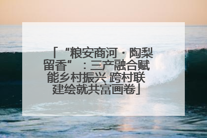 “粮安商河・陶梨留香”：三产融合赋能乡村振兴 跨村联建绘就共富画卷