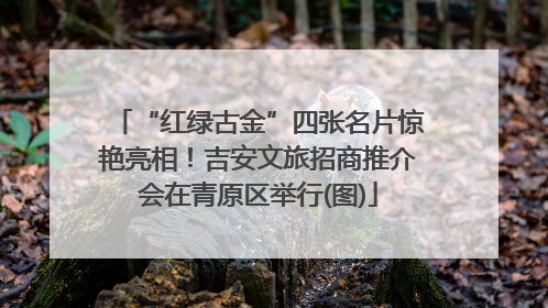 “红绿古金”四张名片惊艳亮相！吉安文旅招商推介会在青原区举行(图)