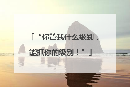 “你管我什么级别，能抓你的级别！”