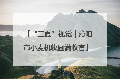 “三夏”视觉｜沁阳市小麦机收圆满收官