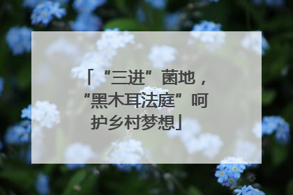 “三进”菌地，“黑木耳法庭”呵护乡村梦想