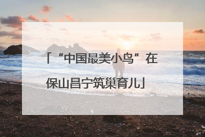 “中国最美小鸟”在保山昌宁筑巢育儿
