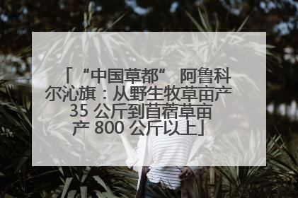 “中国草都” 阿鲁科尔沁旗：从野生牧草亩产 35 公斤到苜蓿草亩产 800 公斤以上