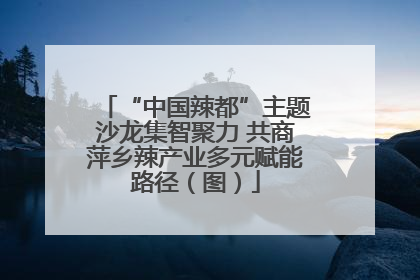 “中国辣都”主题沙龙集智聚力 共商萍乡辣产业多元赋能路径（图）