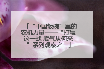 “中国饭碗”里的农机力量——“打赢这一战 底气从何来”系列观察之三