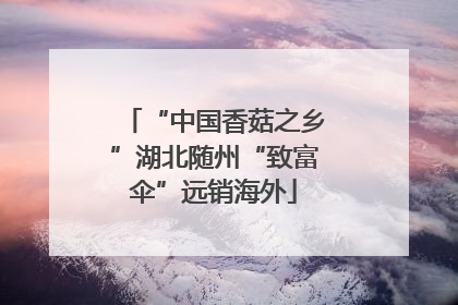 “中国香菇之乡”湖北随州“致富伞”远销海外