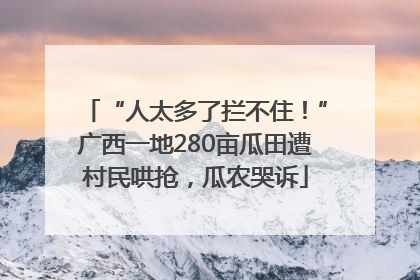 “人太多了拦不住！”广西一地280亩瓜田遭村民哄抢，瓜农哭诉