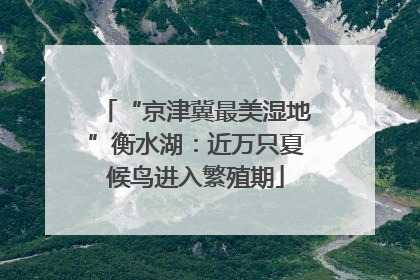 “京津冀最美湿地”衡水湖：近万只夏候鸟进入繁殖期
