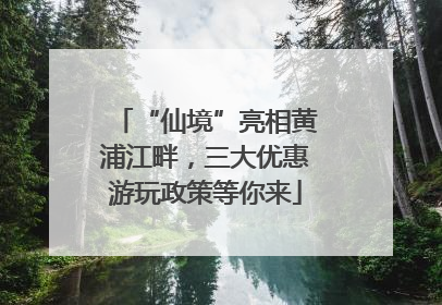 “仙境”亮相黄浦江畔，三大优惠游玩政策等你来