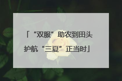 “双服”助农到田头 护航“三夏”正当时