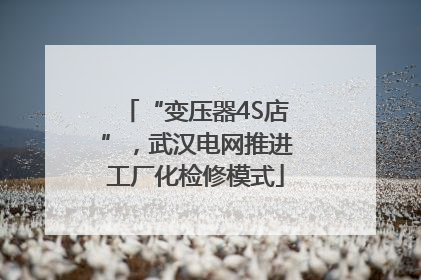 “变压器4S店”，武汉电网推进工厂化检修模式
