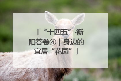 “十四五”·衡阳答卷④｜身边的宜居“花园”