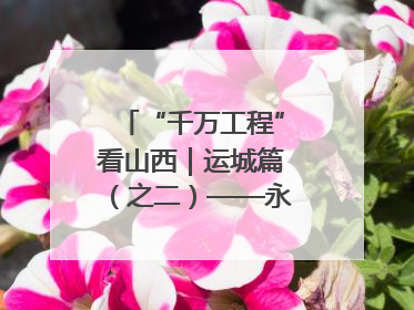 “千万工程”看山西｜运城篇（之二）——永济市东开张村