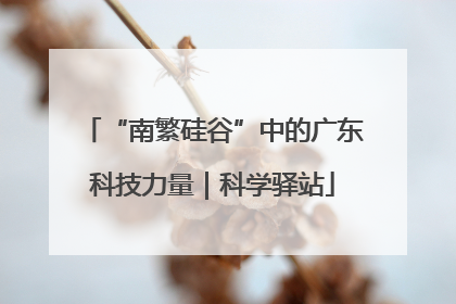 “南繁硅谷”中的广东科技力量｜科学驿站