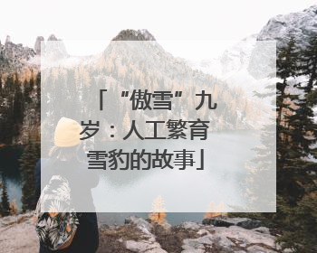 “傲雪”九岁：人工繁育雪豹的故事