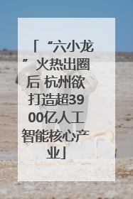 “六小龙”火热出圈后 杭州欲打造超3900亿人工智能核心产业