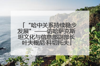 “哈中关系持续稳步发展”——访哈萨克斯坦文化与信息部副部长叶夫根尼·科切托夫