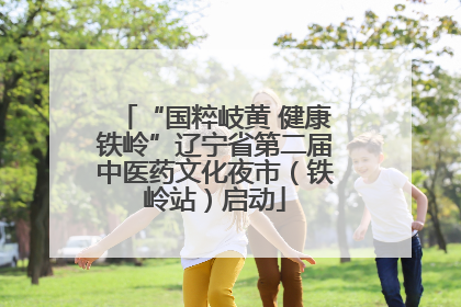 “国粹岐黄 健康铁岭”辽宁省第二届中医药文化夜市（铁岭站）启动