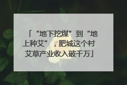 “地下挖煤”到“地上种艾”，肥城这个村艾草产业收入破千万