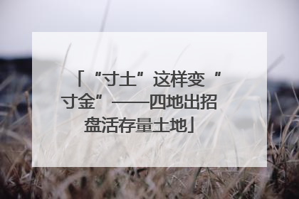 “寸土”这样变“寸金”——四地出招盘活存量土地