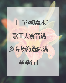 “声动嘉禾” 歌王大赛普满乡专场海选圆满举举行