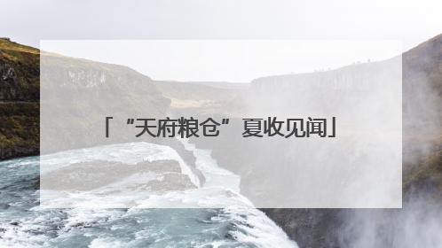 “天府粮仓”夏收见闻