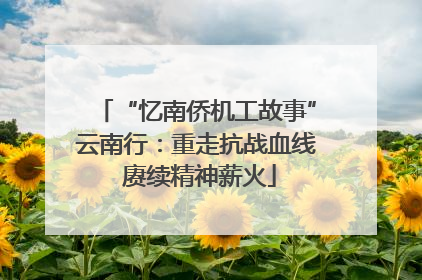 “忆南侨机工故事”云南行：重走抗战血线 赓续精神薪火