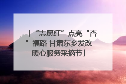 “志愿红”点亮“杏”福路 甘肃东乡发改暖心服务采摘节