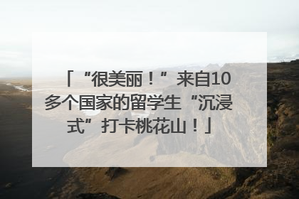 “很美丽！”来自10多个国家的留学生“沉浸式”打卡桃花山！