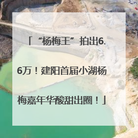 “杨梅王”拍出6.6万！建阳首届小湖杨梅嘉年华酸甜出圈！