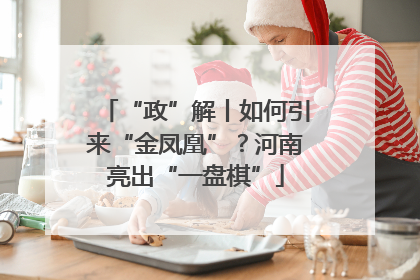 “政”解丨如何引来“金凤凰”？河南亮出“一盘棋”